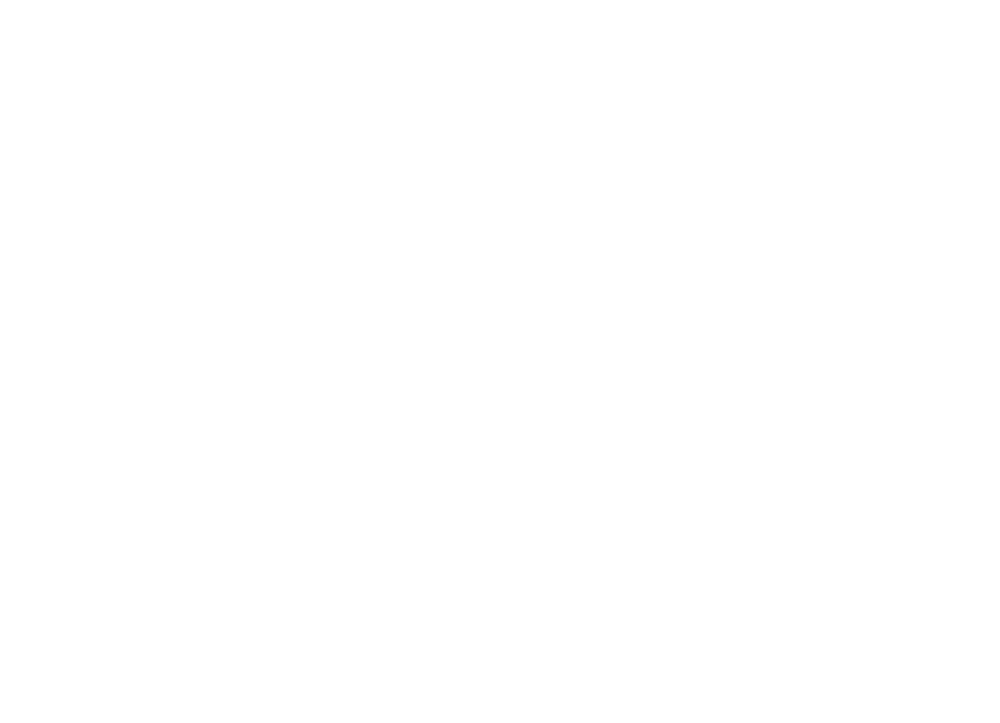 Lite Org Official Logo